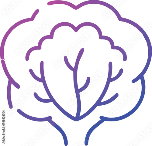 Gradient outline of a cauliflower on a transparent background