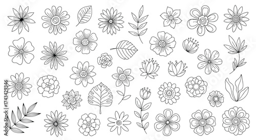 A collection of hand-drawn floral and leaf elements in a sketch style for design purposes.
