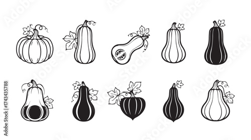 Collection of hand drawn autumn gourds and pumpkins in black and white sketches for seasonal designs vector