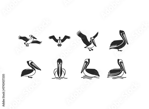 Collection of Stylized Pelican Icons in Various Poses.