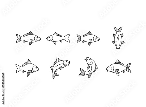 Set of Stylized Carp Fish Illustrations.
