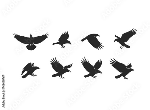 Silhouette Collection of Flying Crows in Various Poses.