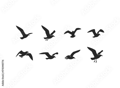 Silhouette Collection of Flying Seagulls.
