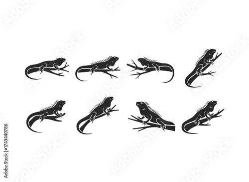 Silhouette Collection of Iguanas on Branches.