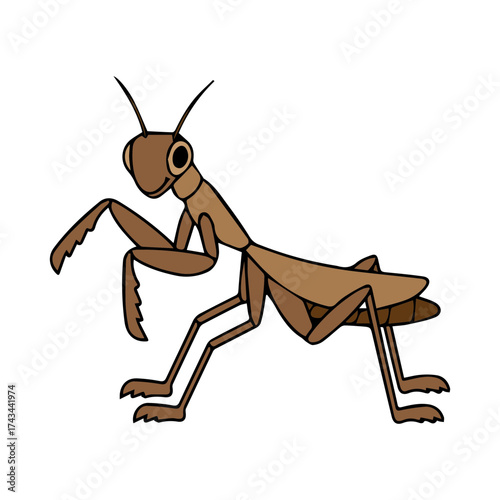 Praying Mantis Cartoon