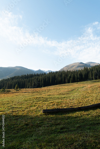 Dense Forest and mountain Landscape in Kazakhstan, Central Asia.