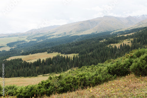 Majestic Central Asian Mountain Range, Scenic Peaks in Kazakhstan’s Wilderness