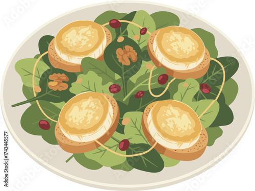 Flat Illustration Delicious Goat Cheese Salad with Spinach Cranberry Walnut