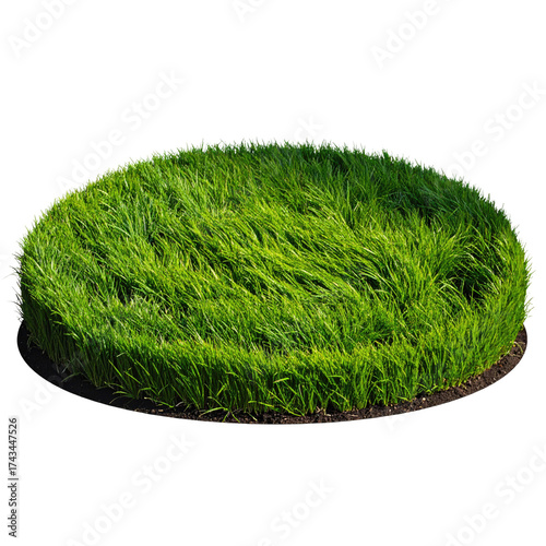 Lush green patch of grass, circular, floating on black background