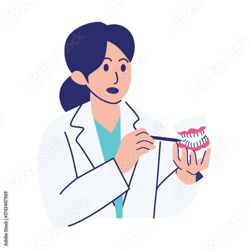 Illustration of Dentist with Dentures Model