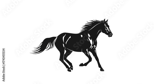 Majestic black horse galloping with flowing mane and tail against a clean white background.