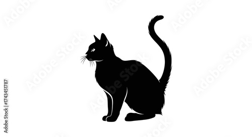 Sleek black cat with elegant tail sits poised on a clean white background, exuding quiet grace and mystery.