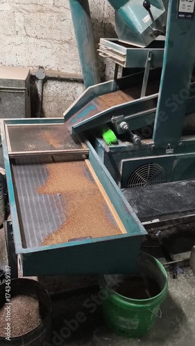 Wallpaper Mural The ragi seeds cleaning process in modern machinery ensures high-quality and dust-free grains. Explore efficient techniques for seed cleaning, processing, and improved agricultural productivity. Torontodigital.ca