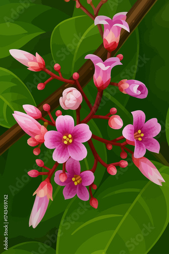 A digital illustration of delicate pink starfruit flowers blooming on a branch, surrounded by rich green leaves. The blossoms feature soft pink petals with yellow centers, accompanied by unopened buds