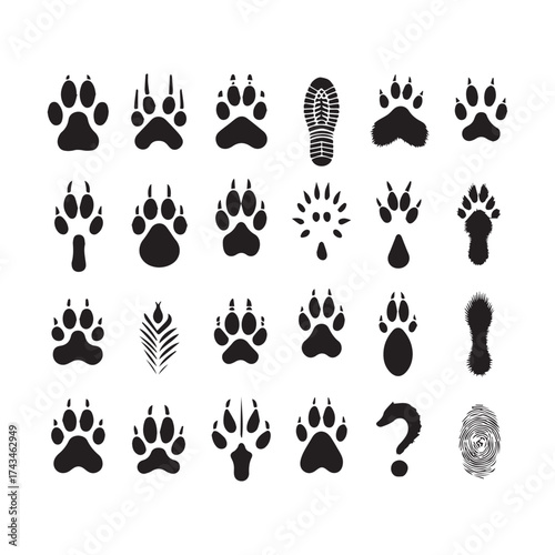 Collection of Animal Paw Prints Footprints Shoe Print and Question Mark Icons on White Background