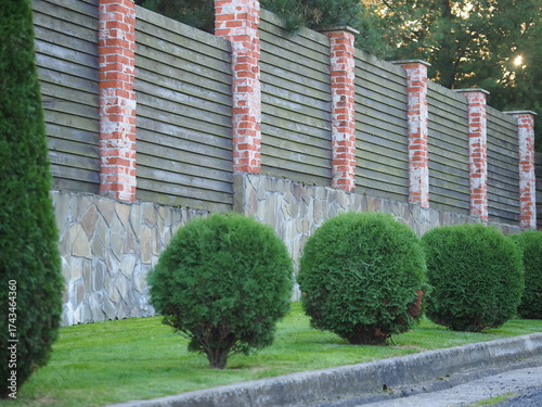 boxwood bushes in wooden pots on a garden terrace