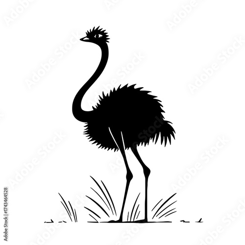 Ostrich. Ostrich simple black and white line art vector logo
