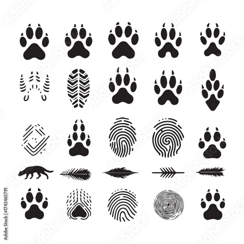 Collection of Paw Prints Fingerprints Feathers Animal Silhouette and Stylized Tracks on White