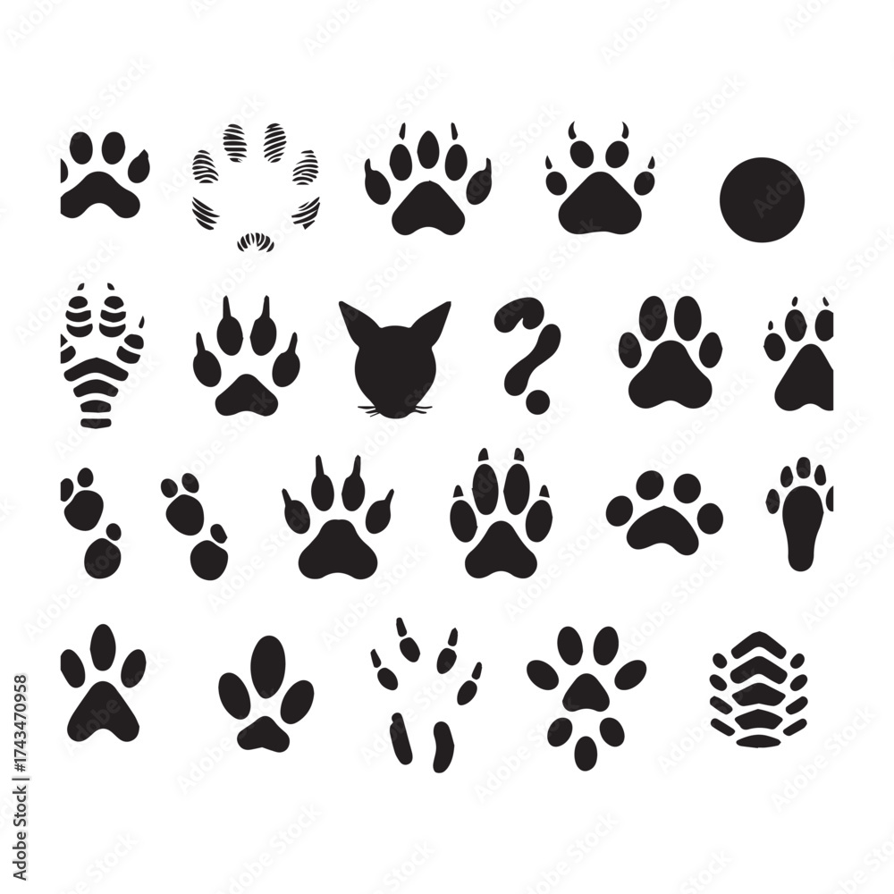 Fototapeta premium Diverse Collection of Animal Paw Prints Cat Silhouette Question Mark and Abstract Shapes on White Background