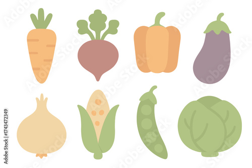 Colorful assortment of vegetables including carrots, beets, and peppers on a white background