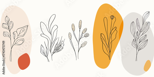 Minimalist hand drawn botanical line art set with abstract organic shapes featuring various plant branches and leaves in soft neutral and warm tones for nature decoration design