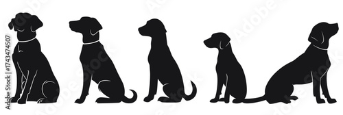 Silhouette dogs sitting and standing in various poses black flat vector clip art collection for pet design illustrations and animal themes