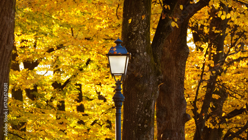 Autumn and foliage in the park. Vintage street lamps among autumnal leaves