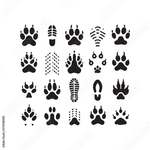 Mix of Black Animal Paw Prints and Shoe Sole Imprints on White Background animal tracks footprint