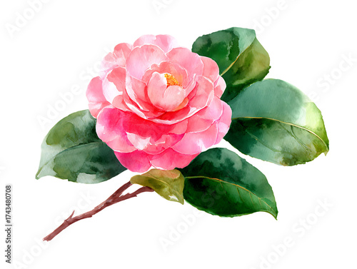 Watercolor Camellia Elegant Botanical Wall Decor