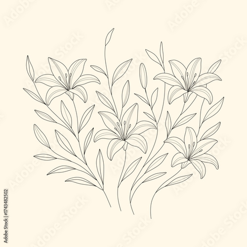 Hand drawn flowers. Vector floral. Lilies line art on a beige background 