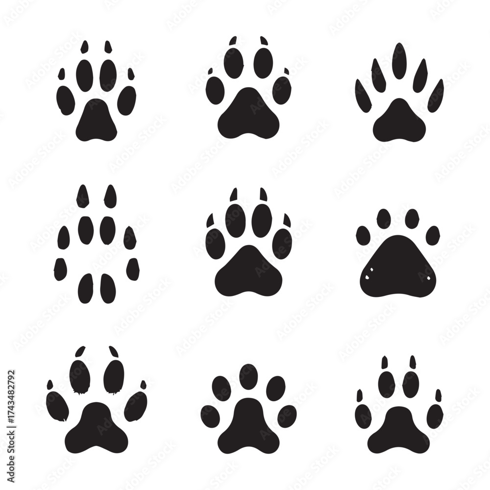 Fototapeta premium Nine Black Silhouette Paw Prints and Animal Tracks on White Background footprint wildlife