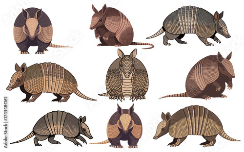 Armadillos in Various Poses with Detailed Shells and Unique Coloration.