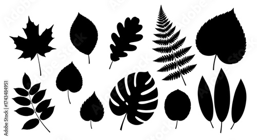Diverse Leaf Silhouettes A Collection of Botanical Forms.