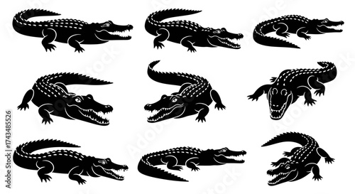 Collection of Alligator Silhouettes in Various Poses.
