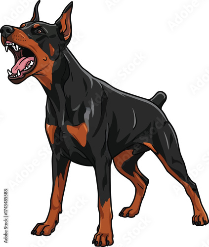 Dobermann dog barking alert aggressive guarding vector illustration