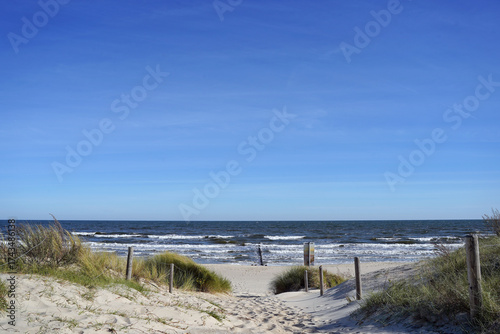 Strand und Dünen an der Ostsee