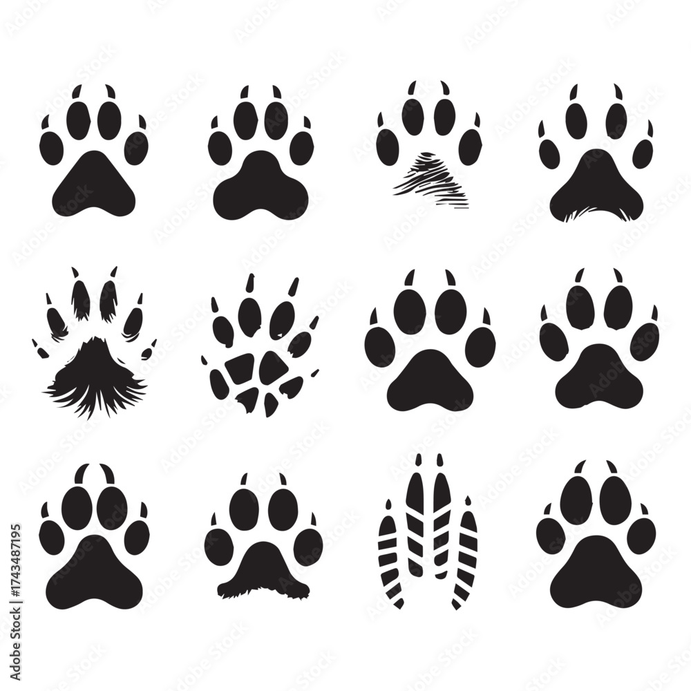 Fototapeta premium Twelve black silhouette icons of animal paw prints and a shoe print on a white background animal tracks