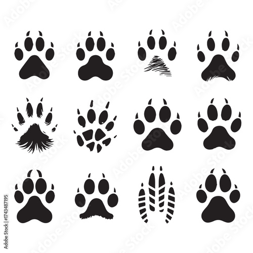 Twelve black silhouette icons of animal paw prints and a shoe print on a white background animal tracks