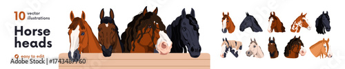 Horse heads set. Thoroughbred equine animals species. Steeds faces with mane. Different stallions breeds. Purebred appaloosa, shire, mustang. Flat vector illustrations isolated on white background