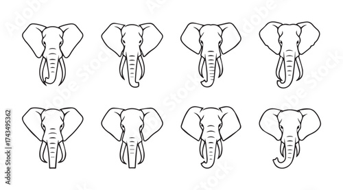 Collection of eight elephant head sketches showing different expressions and poses vector