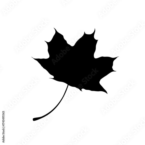 Isolated black silhouette of maple leaf on white background.