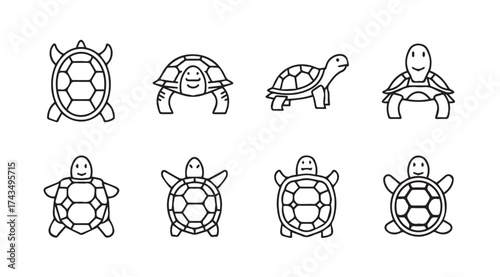 Collection of hand drawn turtle icons simple sketches of aquatic reptiles for various designs vector