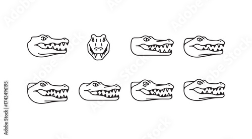 Collection of hand drawn crocodile and alligator heads with bared teeth for wildlife art vector