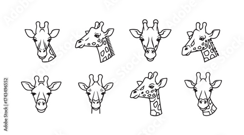 Collection of eight hand drawn sketch style giraffe heads variety of angles and expressions vector