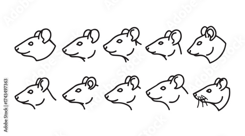Collection of hand drawn mouse heads showing various angles and expressions for wildlife and pet art vector