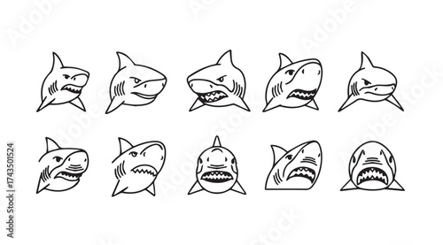Collection of fierce shark heads illustrated with dynamic angles and expressions for oceanic themes vector