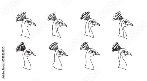 Eight outline sketches of a male peacock head and neck from different angles vector