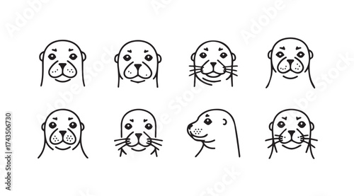 Cute seal portraits hand drawn sketch collection adorable marine mammal faces diverse expressions vector