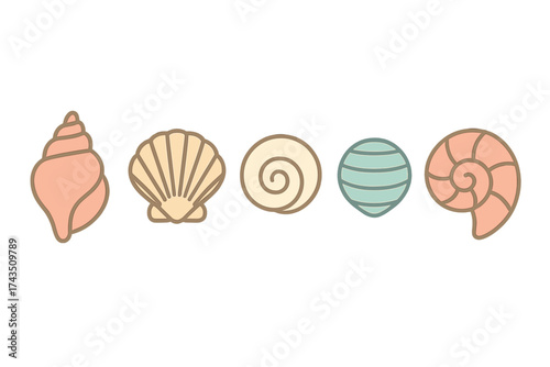 Colorful collection of five different seashells and spiral snail shells in a row