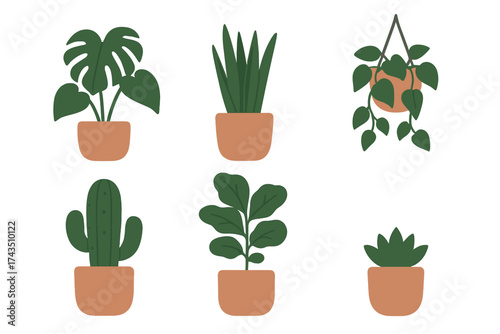 A collection of six trendy potted houseplants including monstera, cactus, and succulent varieties for home decor design elements